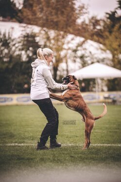 Bild 3 DM FCI IGP 2025 in Frankfurt