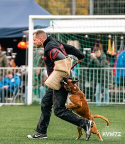 Bild 6 DM FCI IGP 2025 in Frankfurt