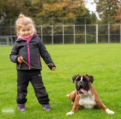 Bild 8 DM FCI IGP 2025 in Frankfurt