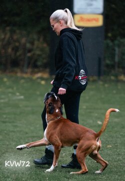 Bild 2 OB Pokal 2025