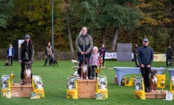 Bild 5 OB Pokal 2025